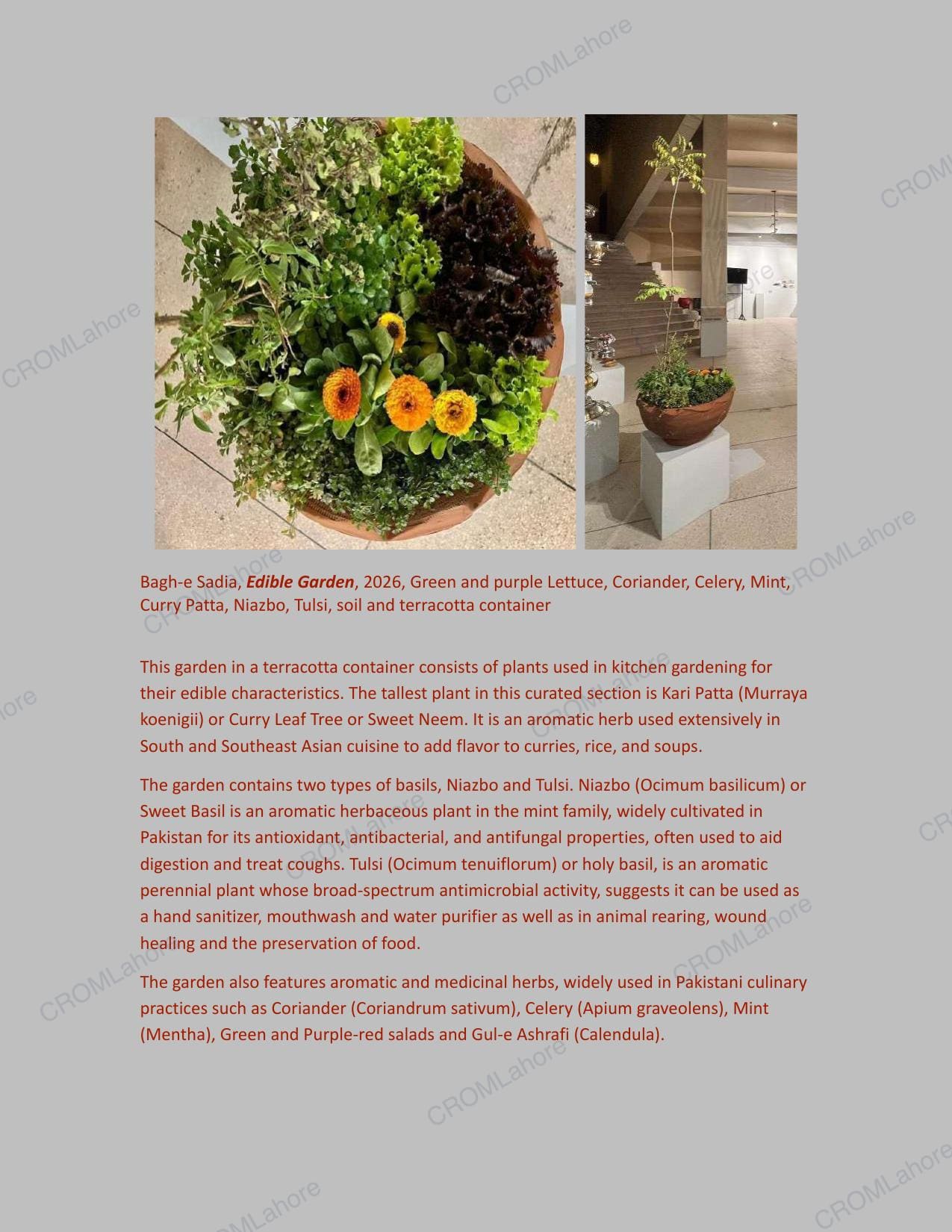 Catalogue page 26