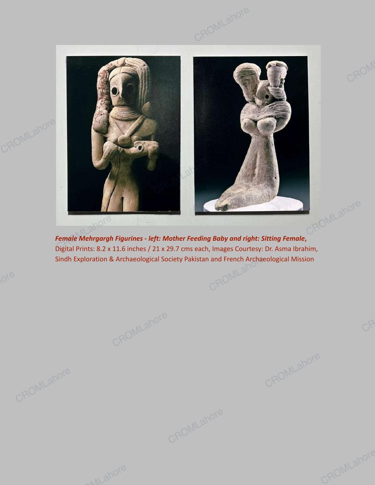 Catalogue page 47